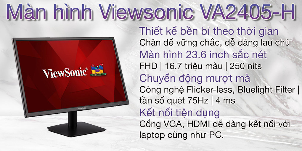 Màn hình Viewsonic VA2405-H 1