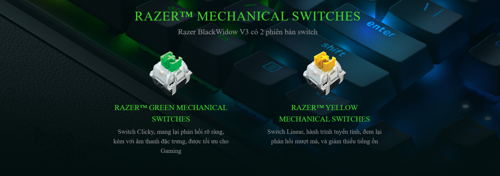 Bàn phím Razer BlackWidow V3 (Yellow switch) (RZ03-03541900-R3M1) 2