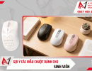 Gợi ý các mẫu chuột cho sinh viên nhỏ gọn, tiện lợi 