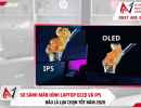 So sánh màn hình laptop OLED và IPS chi tiết: Đâu là lựa chọn tốt 2026