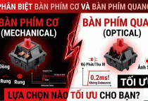 PHÂN BIỆT BÀN PHÍM CƠ VÀ BÀN PHÍM CƠ QUANG: LỰA CHỌN NÀO TỐI ƯU CHO NHU CẦU CỦA BẠN?