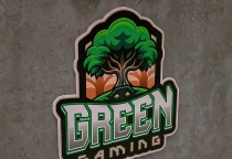 Dự Án Phòng Net Green Gaming Tại Bửu Long - Biên Hòa