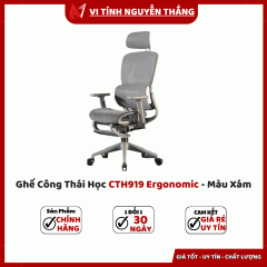Ghế Công Thái Học CTH919 Ergonomic - Màu Xám