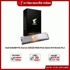 Ssd GIGABYTE Aorus 256GB RGB Pcie Gen3 X4 Nvme M.2