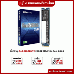 Ổ Cứng Ssd GIGABYTE 2500E 1Tb Pcie Gen 3.0X4