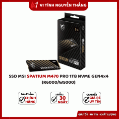 SSD MSI SPATIUM M470 PRO 1TB NVME GEN4x4 (R6000/W5000)
