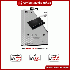 Ssd Pny Cs900 1Tb Sata III