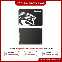SSD KingSpec P3-256 256GB SATA III