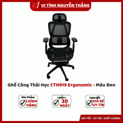 Ghế Công Thái Học CTH919 Ergonomic - Màu Đen