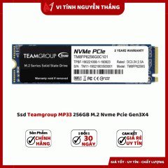 Ssd Teamgroup MP33 256GB M.2 Nvme Pcie Gen3X4