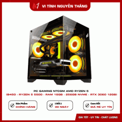 PC GAMING NTCGM AMD RYZEN 5 (B450 - RYZEN 5 5500 - RAM 16GB - 256GB NVME - RTX 3060 12GB )
