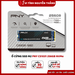 Ổ Cứng Ssd M2 Pny Cs1031 256GB Nvme Gen 3X4