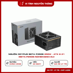 Nguồn Ocypus Beta P350S 250W - ATX 2.31 (Beta-P250S-NDHBK026X-EU)