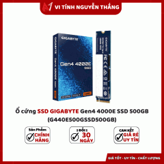 Ổ cứng SSD GIGABYTE Gen4 4000E SSD 500GB (G440E500GSSD500GB)