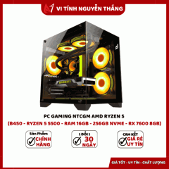 PC GAMING NTCGM AMD RYZEN 5 (B450 - RYZEN 5 5500 - RAM 16GB - 256GB NVME - RX 7600 8GB )
