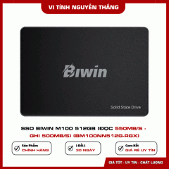 SSD Biwin M100 512GB (Đọc 550MB/s - Ghi 500MB/s) (BM100NN512G-RGX)