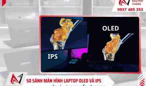 So sánh màn hình laptop OLED và IPS chi tiết: Đâu là lựa chọn tốt 2026