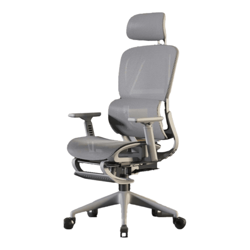 Ghế Công Thái Học CTH919 Ergonomic - Màu Xám