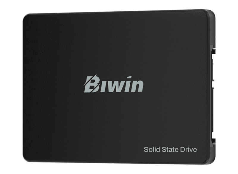 SSD Biwin M100 256GB Sata III (Đọc 550MB/s - Ghi 500MB/s)