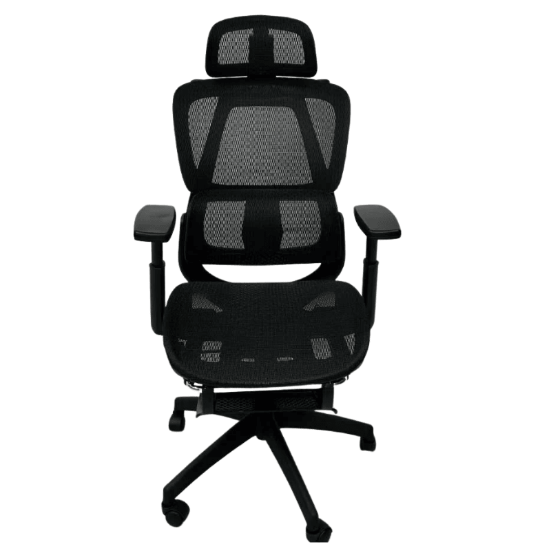 Ghế Công Thái Học CTH919 Ergonomic - Màu Đen