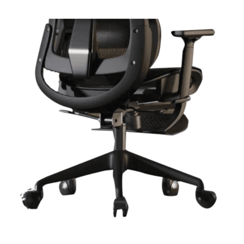 Ghế Công Thái Học CTH919 Ergonomic - Màu Đen
