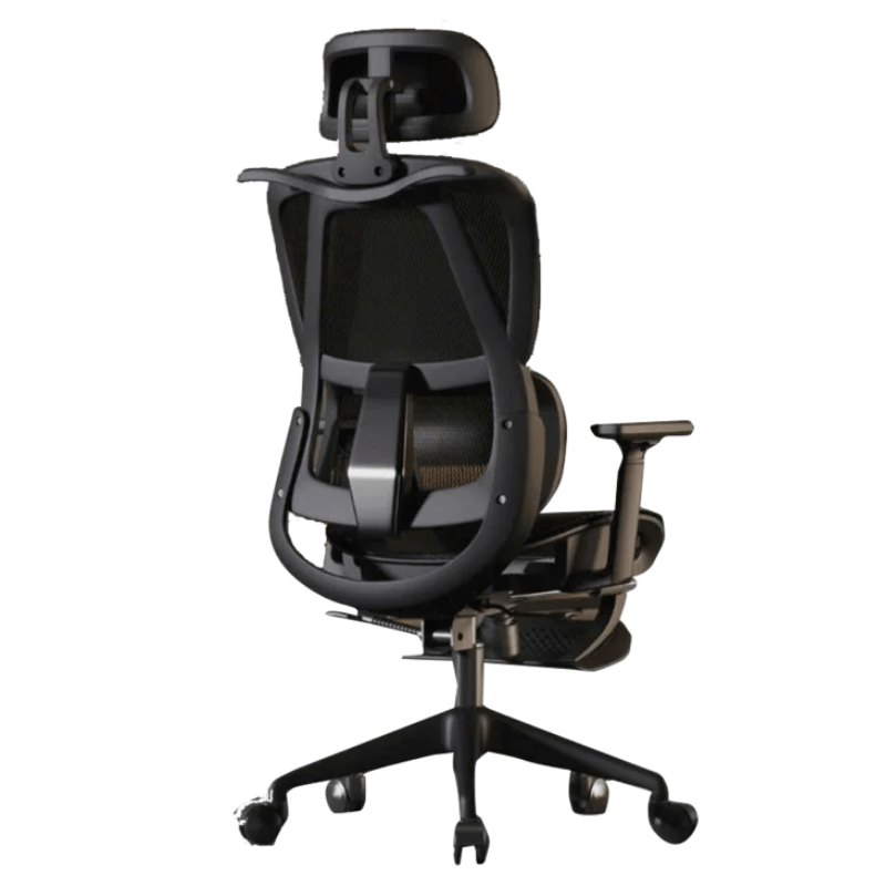 Ghế Công Thái Học CTH919 Ergonomic - Màu Đen
