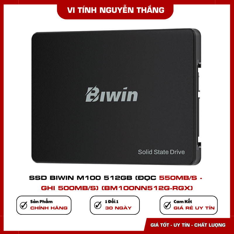 Biwin M100 512GB cho cấu hình PC