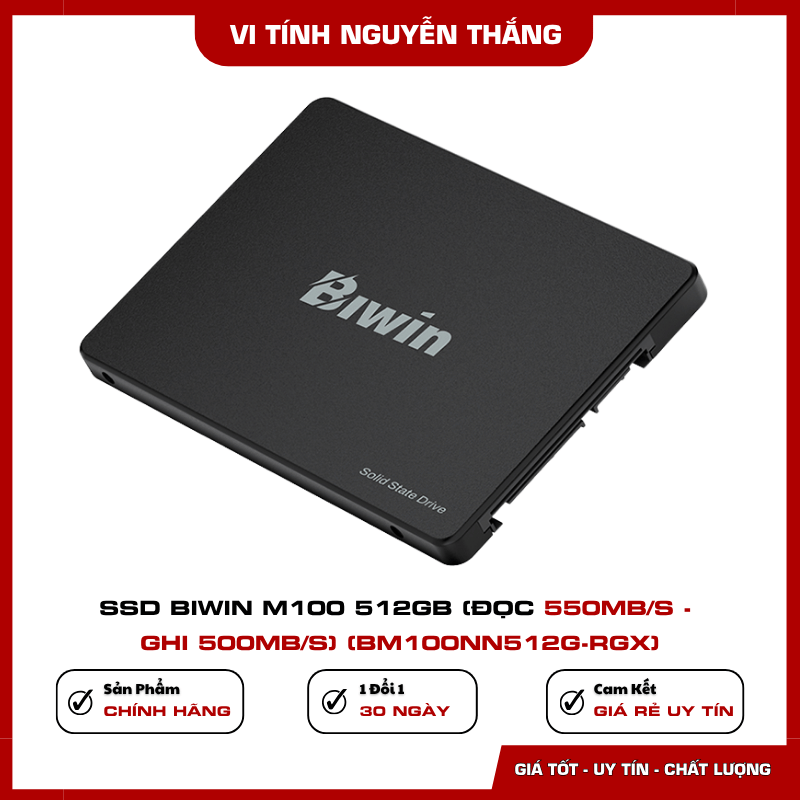 Ổ cứng Biwin M100 512GB nâng cấp PC laptop