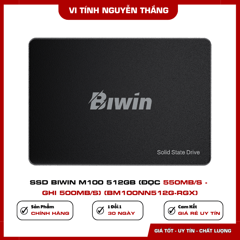 SSD Biwin M100 512GB BM100NN512G-RGX
