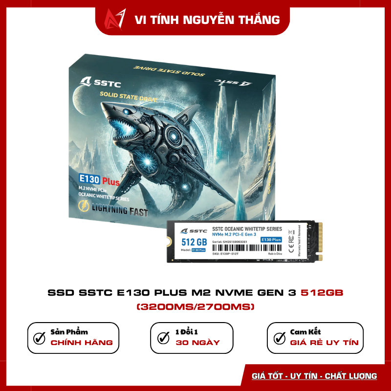 SSD SSTC E130 Plus 512GB NVMe Gen 3