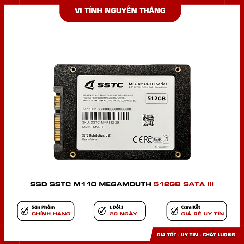 Ổ cứng SSD SSTC M110 dung lượng 512GB