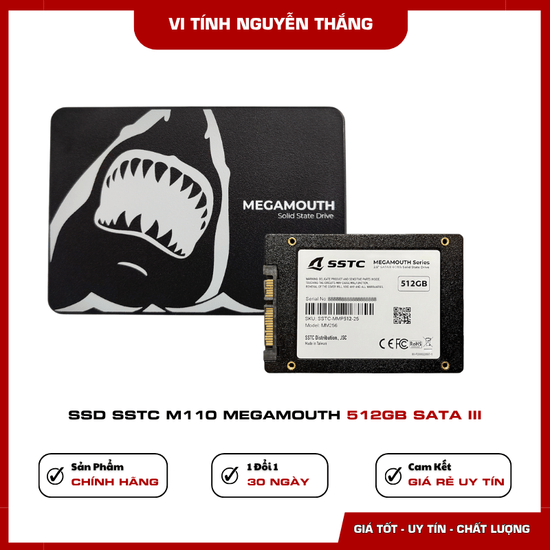 Hiệu năng SSD SSTC Megamouth M110 512GB