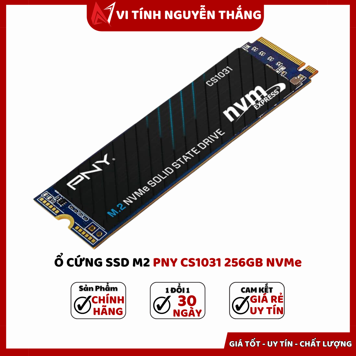 SSD PNY CS1031