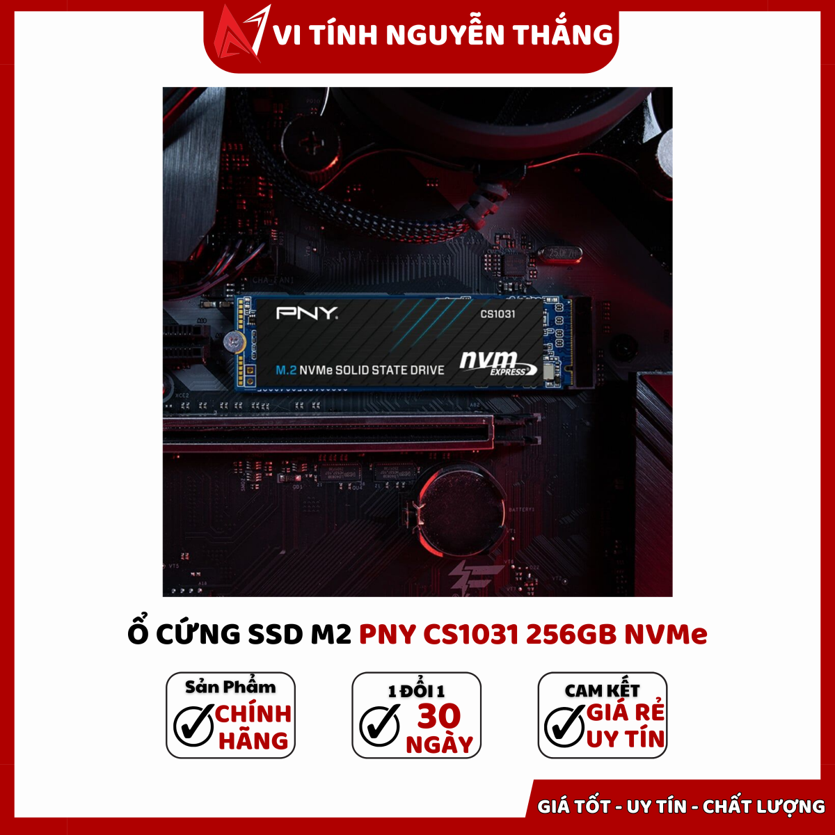 SSD PNY CS1031