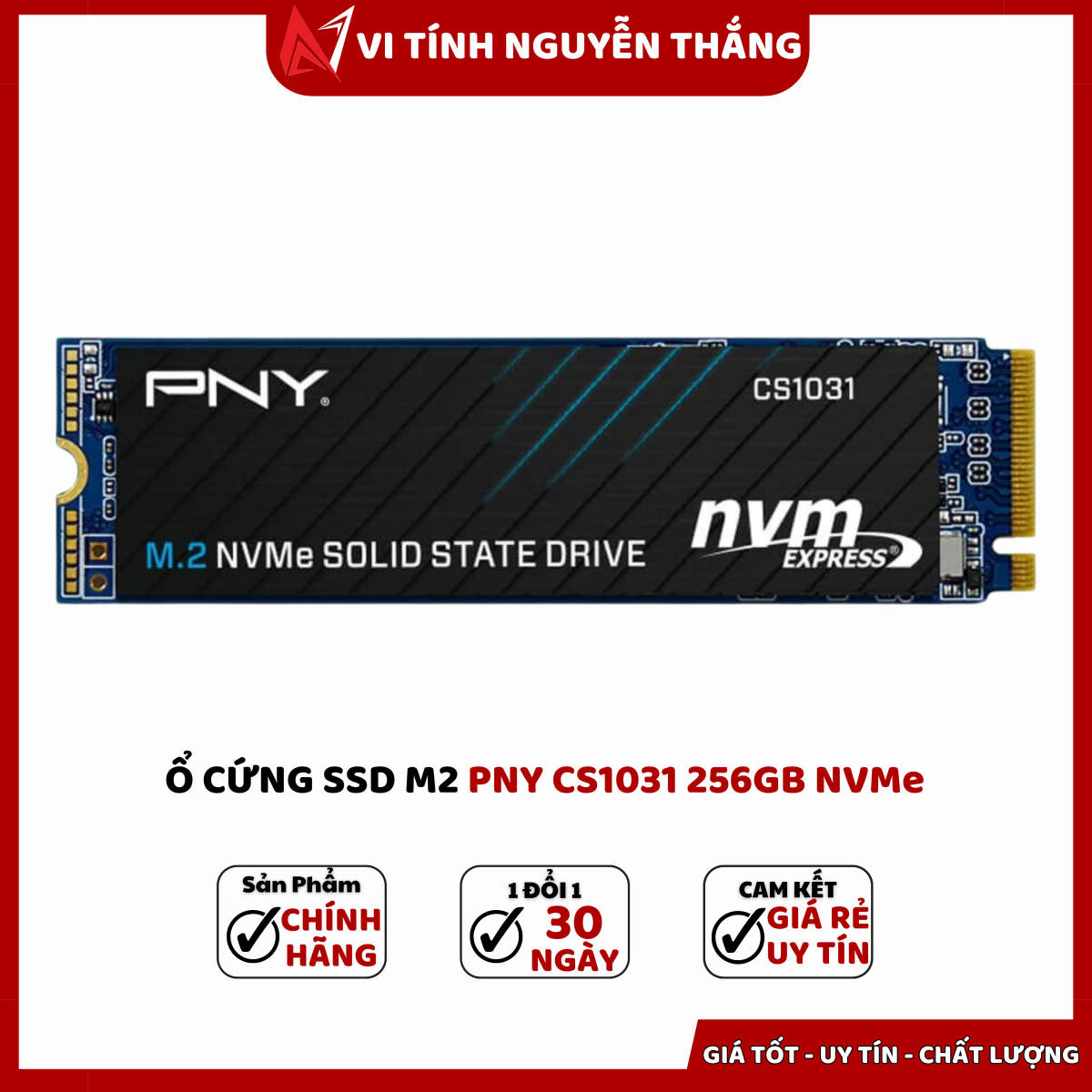 SSD PNY CS1031