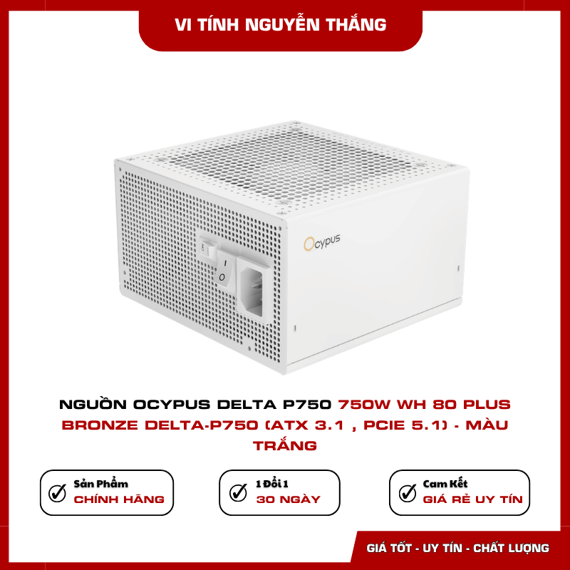 Đầu cấp nguồn 12V-2x6 trên Ocypus Delta P750