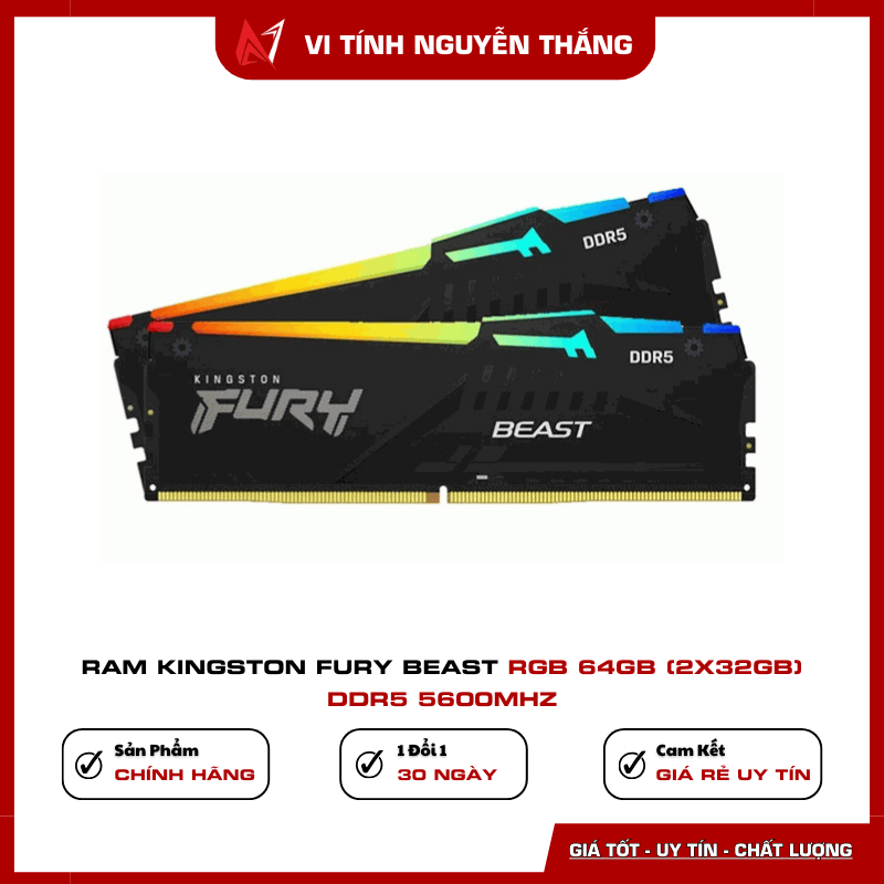 RAM Kingston Fury Beast RGB 64GB DDR5 5600MHz