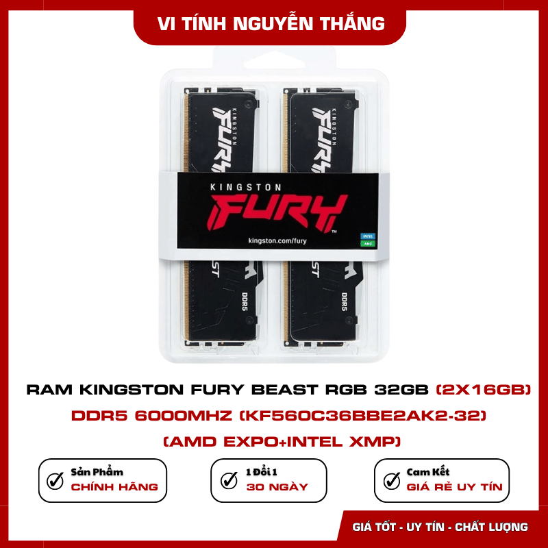 RAM Kingston FURY Beast hỗ trợ AMD EXPO và Intel XMP 3.0